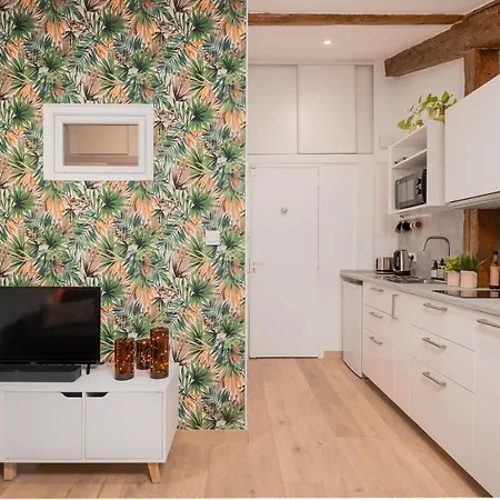 Appartement Chic Dans Le Centre Historique