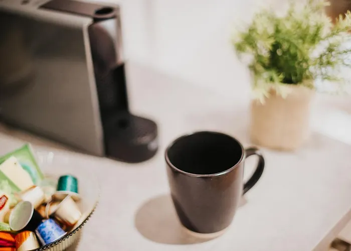 Chic Dans Le Centre Historique Apartman Toulouse