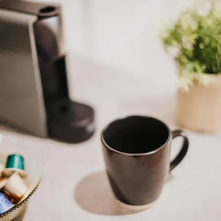 Chic Dans Le Centre Historique Appartamento Tolosa